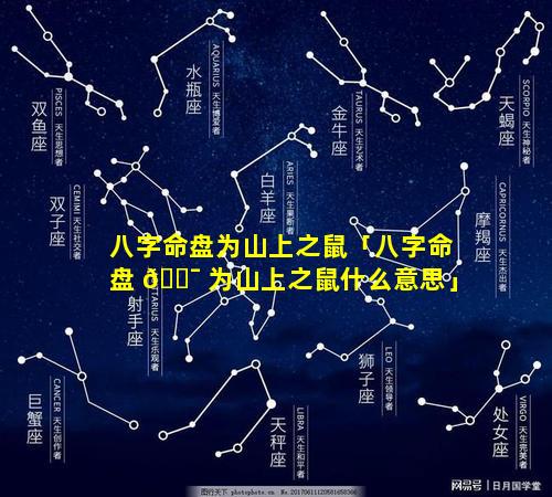 八字命盘为山上之鼠「八字命盘 🐯 为山上之鼠什么意思」